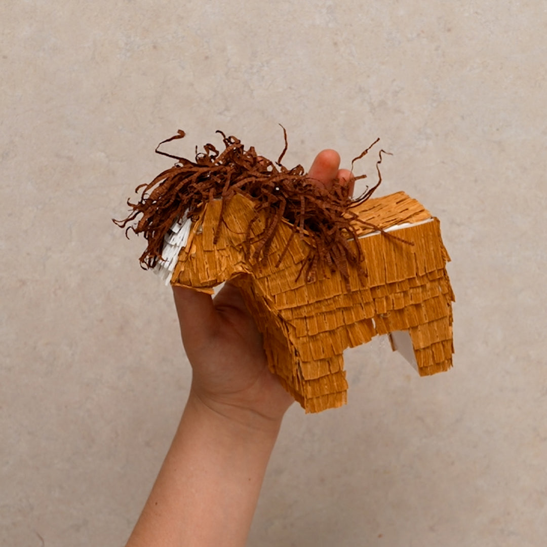 DIY Kit – Horse Mini Pinata