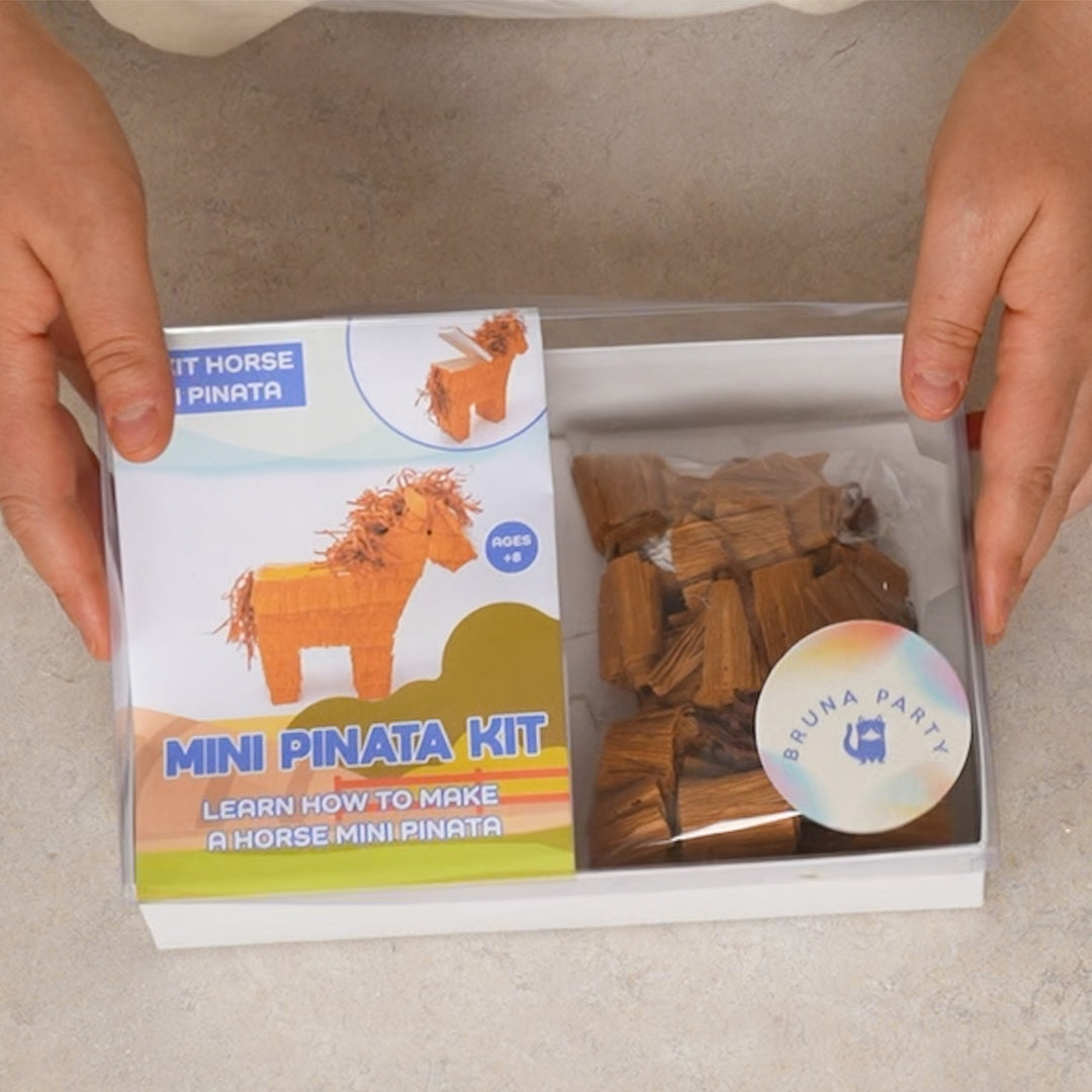 DIY Kit – Horse Mini Pinata
