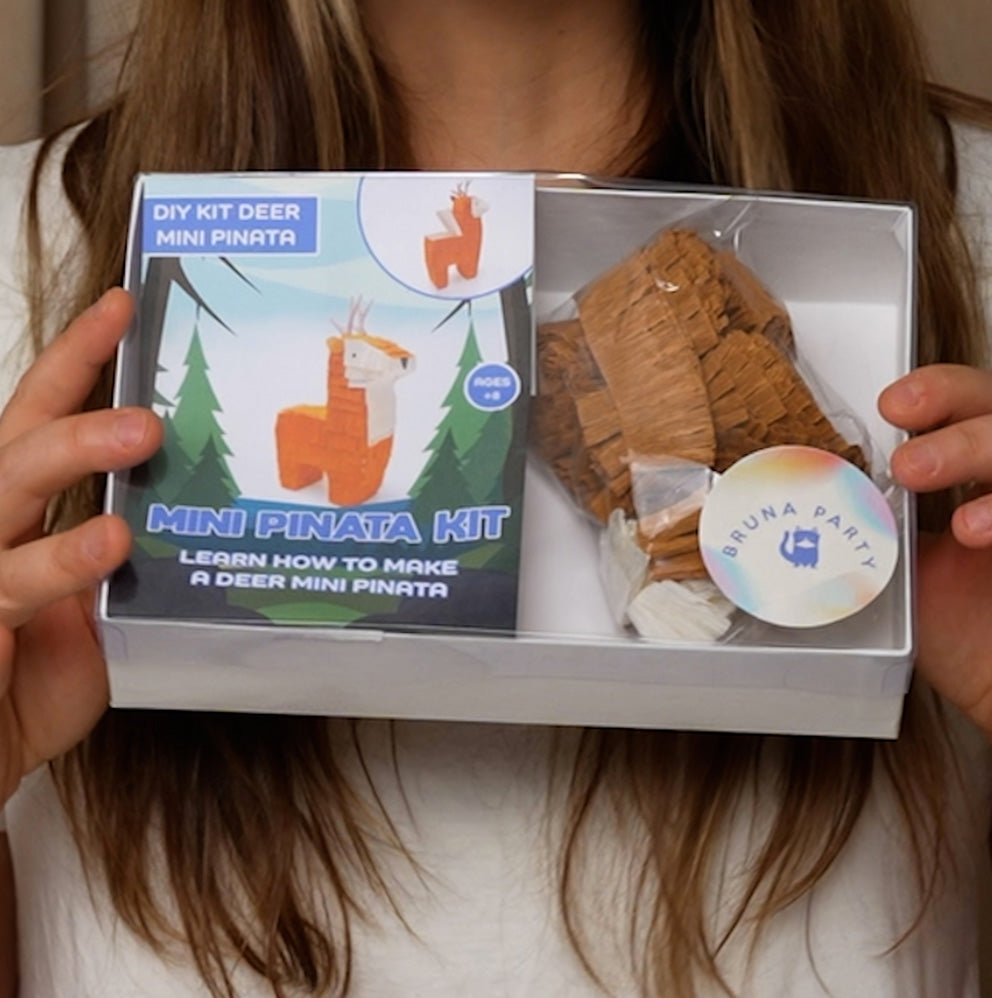 DIY Kit – Deer Mini Pinata