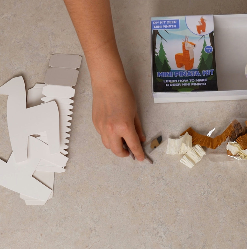 DIY Kit – Deer Mini Pinata